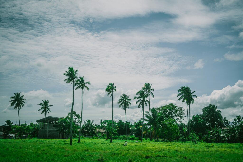 The Ideal Time to Visit Sri Lanka: Exploring the Island’s Seasonal Splendor