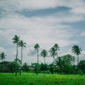ideal time to visit sri lanka