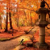 Autumn in Kyoto