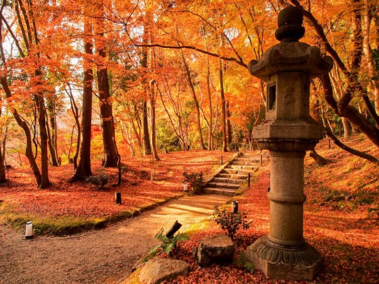 Autumn in Kyoto