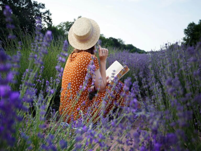 Exploring Provence in September