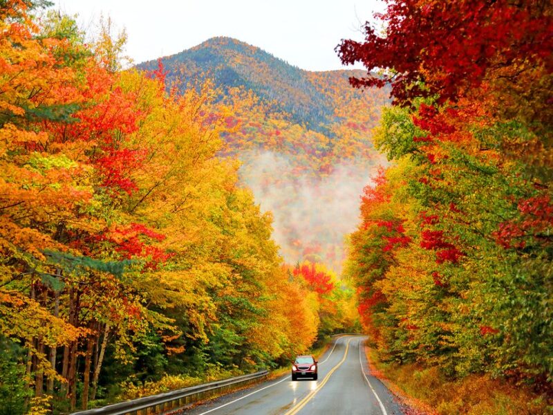 Fall Foliage in New England