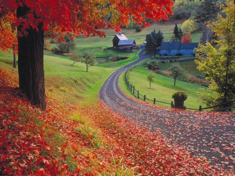 Fall Foliage in New England