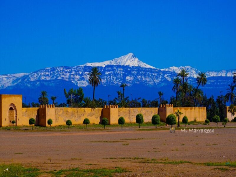 Discovering the Magic of Marrakech in Spring