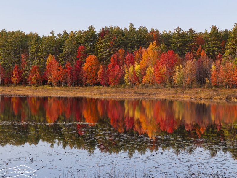 Fall Foliage in New England