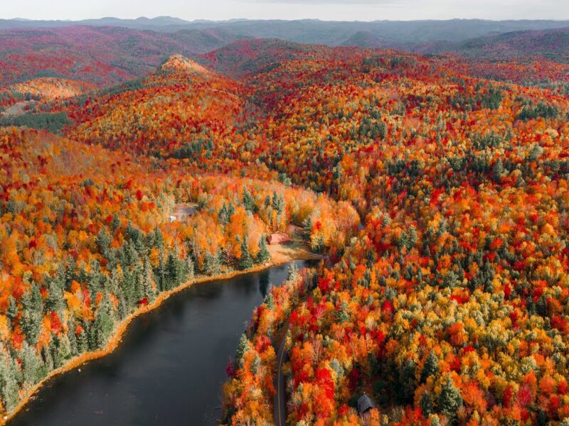 Fall Foliage in New England