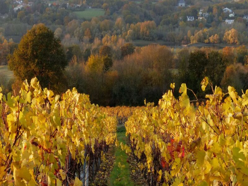 Exploring the Loire Valley in Fall