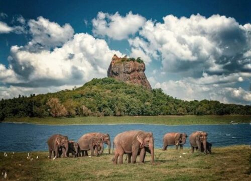 Sri Lanka 7-Day Itinerary: A Practical Travel Guide