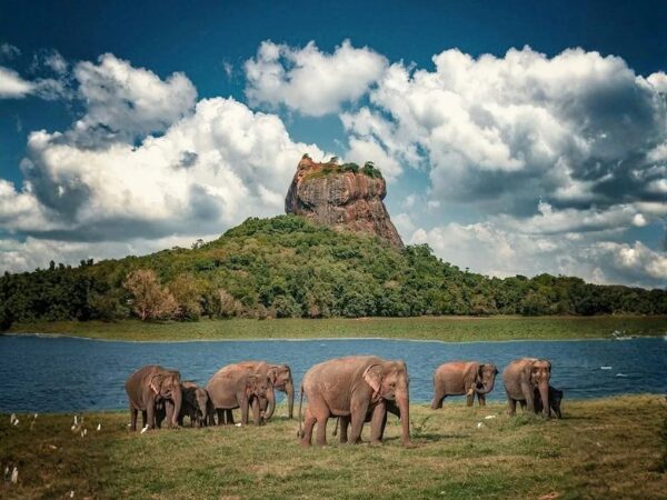 Sri Lanka 7-Day Itinerary: A Practical Travel Guide