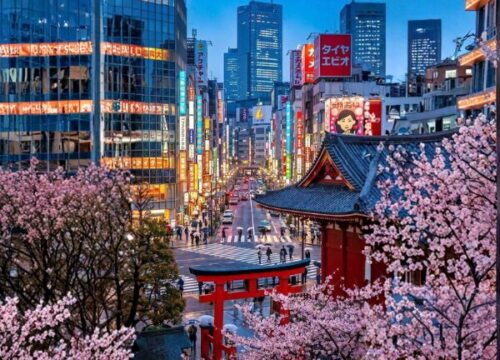 Japan Travel Guide for First-Time Visitors