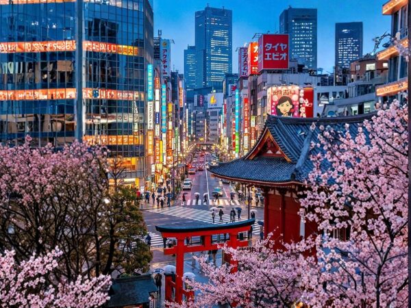 Japan Travel Guide for First-Time Visitors