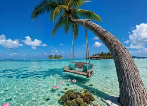 How to Visit the Maldives on a Budget